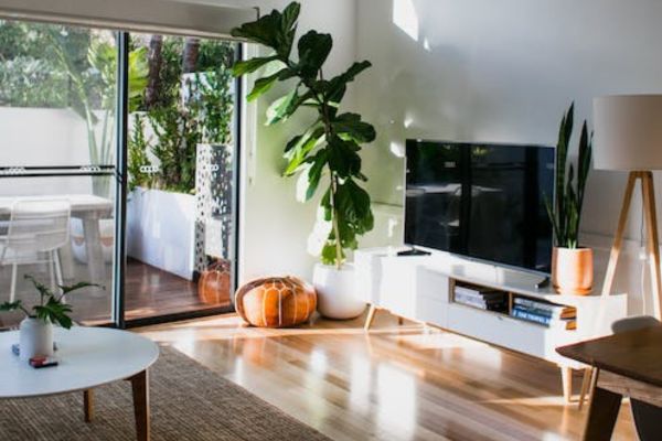 Como Decorar Sua Casa Com Plantas